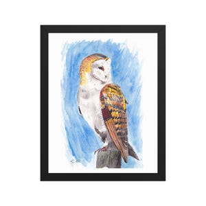 Barn Owl - Framed Print