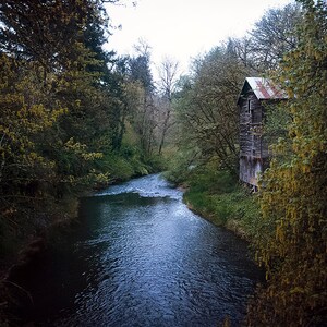 The Old Mill