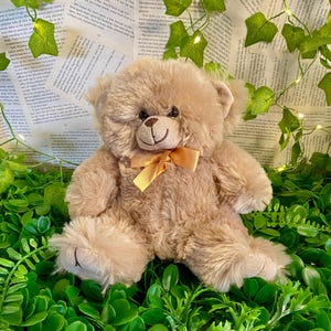 Peaches, The Lost Bears Home, stuffed animals, vintage teddy bears, teddy bear, plush, adopt a bear, plushie, soft toy, handpicked, preloved