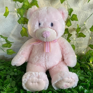 May include: A soft pink teddy bear with a light pink nose and a striped ribbon. The bear has fluffy fur and is sitting upright. The bear's paws are a lighter pink with a small embroidered detail. The bear is a classic children's toy.