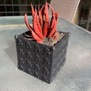 Indoor planter with drip tray