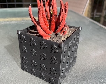 Indoor planter with drip tray