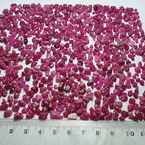 May include: A collection of small, rough-cut ruby gemstones in varying shades of red and pink. The gemstones are scattered across a white surface, with a ruler providing scale. The rubies are of different sizes and shapes.