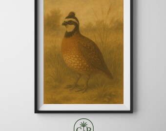 Könnte beinhalten: Gerahmter Druck mit einer detaillierten Illustration eines Wachtel in einer naturalistischen Umgebung. Der Vogel hat braunes, beiges und weißes Gefieder und steht inmitten von hohem Gras. Das Kunstwerk hat einen sepiafarbenen Hintergrund, mit dem Text "CRACKER PRINTS" unten.