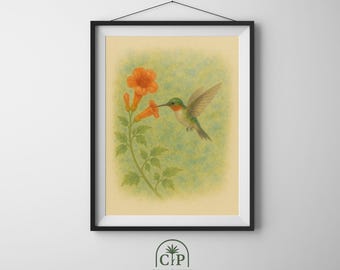 Lámina de colibrí en acuarela, pintura de vida silvestre, arte botánico (descarga digital)