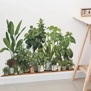 Op de afbeelding: Een verzameling potplanten, waaronder soorten met grote bladeren en vetplanten, gerangschikt op een houten plank tegen een witte muur. De planten staan in diverse keramische potten.