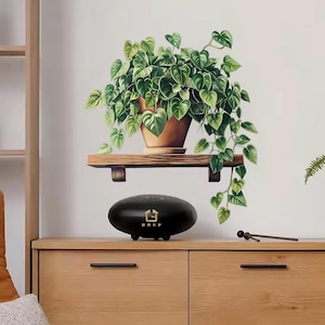 Op de afbeelding: Een zwarte stalen tongdrum met het woord "BRUP" en een huislogo, rustend op een houten kast. Boven, een grote potplant met groene hartvormige bladeren staat op een houten plank. De muur heeft een geschilderde muurschildering van de plant.
