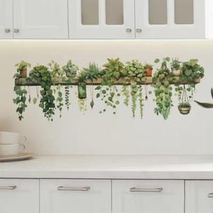 May include: A wall sticker depicting a watercolour illustration of assorted green plants in pots and hanging planters. The plants are arranged on a wooden shelf, with trailing vines cascading downwards. The sticker is designed to add a touch of nature to any room.