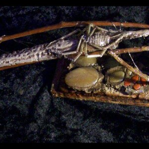 Spider Wand of Malchias with stand