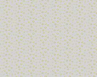 The Little Prince by The RBD Designers - Stars in Gray (C6793-GRAY) - Riley Blake - 1 yard