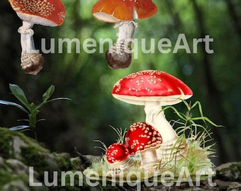 Vintage Mushroom Clipart Set PNG | 19 Hand-Drawn Botanical Fungi 12x12 300 DPI Junk Journal Digital Download
