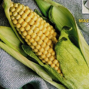 May include: A magazine cover featuring a detailed embroidered corn on the cob with green husks, nestled in a green bowl. The cover includes text: "INSPIRATIONS" and "Good enough to Eat!" along with other text and a bee illustration.