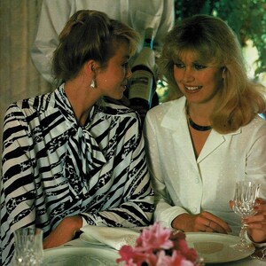 May include: Two women are sitting at a table with a bouquet of pink flowers. One woman is wearing a black and white striped blouse and the other is wearing a white blouse. The table is set with plates, glasses, and silverware. The text "Knitwit Classes, Fabrics, Patterns" is visible in the lower right corner of the image.
