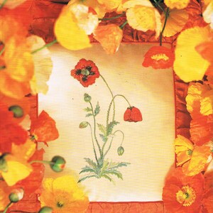 May include: A close-up of a cross-stitch embroidery design featuring a red poppy flower with green leaves and stems. The embroidery is framed by a white border and surrounded by orange and yellow poppy flowers.