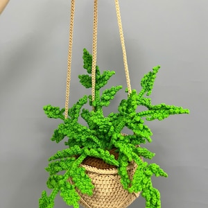 Op de afbeelding: Een handgemaakte gehaakte hangende plantenbak met een levendige groene plant. De plant stroomt over uit een beige gehaakte mand, opgehangen aan beige koorden. De bladeren van de plant zijn heldergroen, contrasterend met de neutrale tinten van de mand en koorden.