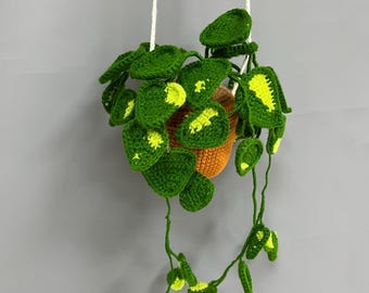 Crochet Hanging Pothos Plant: Handmade Boho Home Decor