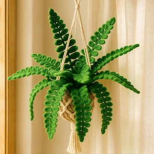 Felce sospesa all'uncinetto: pianta in macramè realizzata a mano, decorazione per la casa in stile boho.