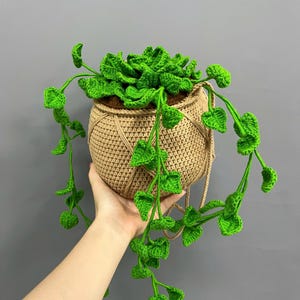 May include: A handmade crochet hanging plant with a light brown pot and bright green leaves. The pot is suspended by a woven cord. The plant has a full top and trailing vines, creating a unique, decorative piece.