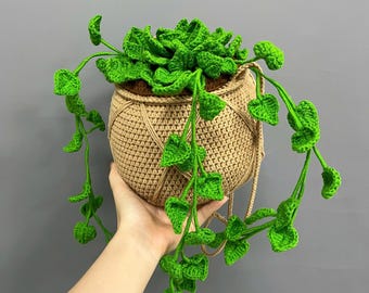 Crochet Hanging Plant Vine: Boho Home Decor, Handmade Trailing Greenery