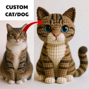 Anpassad virkad kattplyschreplika, personlig minnesgåva för husdjur, amigurumi kattdocka