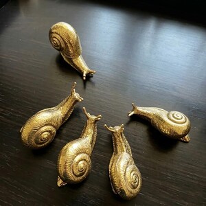 Pode incluir: Cinco figuras douradas de carac&oacute;is dispostas sobre uma superf&iacute;cie de madeira escura. Cada caracol tem uma concha detalhada e antenas delicadas. O acabamento met&aacute;lico confere-lhes um aspeto vintage, adequado para decora&ccedil;&atilde;o.