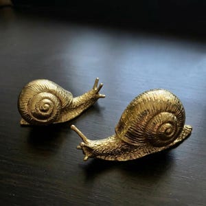 Solid Brass Snail Drawer Knobs, Gold Snail Cabinet Handles, Animal Furniture Pulls for Nursery, Kids Room Decor, Garden Theme Hardware