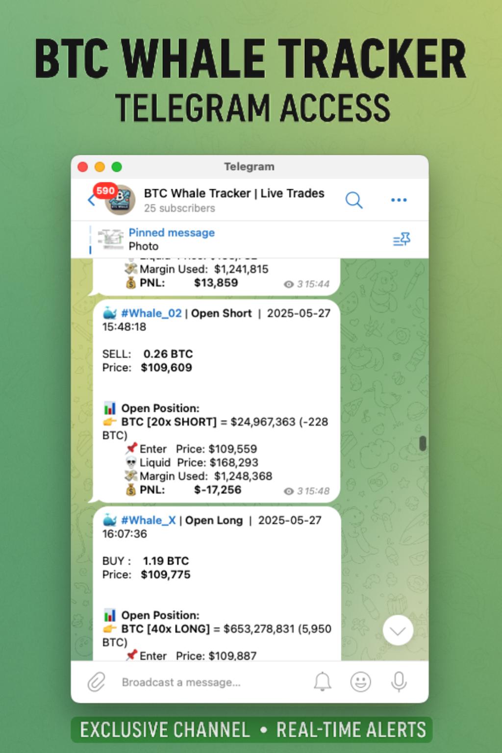 Bitcoin Price Prediction Previsioni Bitcoin Criptovalute Valore In Tempo  Reale Bitcoin Whale New Zealand