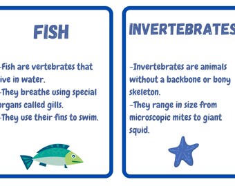 Educational Flashcards | Animal Classification Science Cards for Kids | Homeschool Learning Printable