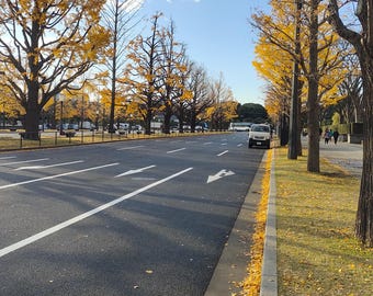 Seasonal City Street Photography Prints: Urban Landscape Art (Digital Download)