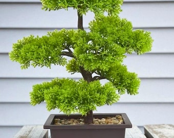 Artificial Pine Bonsai Tree | Realistic Small Potted Plant for Home & Office Decor