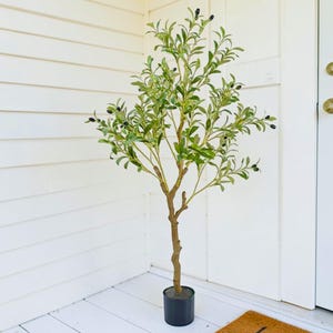 May include: An artificial olive tree in a black pot. The tree has green leaves and small black olives. The trunk is brown, and the tree is placed on a white porch next to a white door.