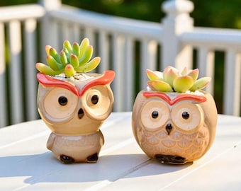 Ceramic Owl Planter – Mini Succulent Cactus Holder, Desk Decor