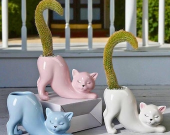 Cat Succulent Planter – Porcelain Animal Vase, Home & Office Decor