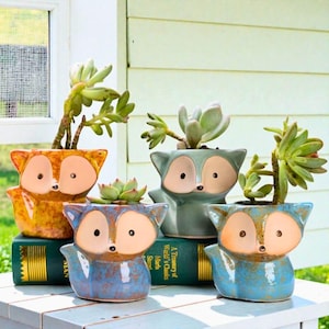 May include: Four ceramic fox-shaped planters in shades of orange, blue, and green, each holding a succulent plant. The planters have large, oval eyes and a fox-like face. They are sitting on a white surface and a green book.