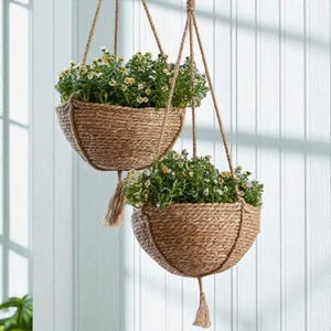 Könnte beinhalten: Zwei hängende gewebte Körbe, gefüllt mit grünen Pflanzen und kleinen weißen und gelben Blüten. Die Körbe sind an braunen Seilen aufgehängt und haben unten eine Quaste. Der Hintergrund ist eine weiße Wand.