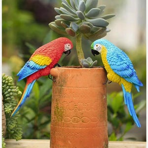 May include: Two colorful parrot figurines, one red and yellow, the other blue and yellow, perch on a terracotta pot. The parrots have black beaks and are positioned near a succulent plant, adding a vibrant touch to garden decor.
