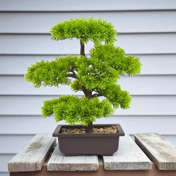 Knstlicher Kiefern Bonsai-Baum | Realistische kleine Topfpflanze fr  Zuhause & Bro Dekor - Etsy sterreich