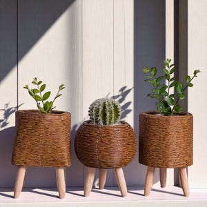 Könnte beinhalten: Drei dekorative, gewebte Pflanzgefäße mit Holzbeinen, die jeweils eine andere Pflanze enthalten. Die Pflanzgefäße sind braun und haben eine strukturierte Oberfläche. Eines enthält einen Kaktus, die anderen grüne Pflanzen. Sie sind in einer Reihe angeordnet.