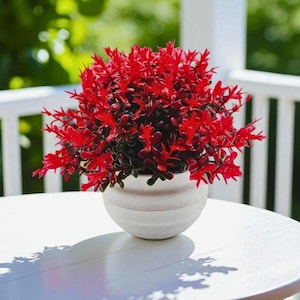 May include: A vibrant red artificial plant with dense, pointed foliage arranged in a rounded shape. The plant is housed in a simple, matte white ceramic pot with a smooth, rounded base and subtle horizontal ridges around the exterior surface.