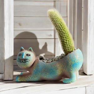 May include: A whimsical cat-shaped planter in shades of blue, brown, and green, holding a tall, green cactus. The ceramic planter has a textured, speckled finish and is filled with small stones. The cat is in a reclining pose, adding a playful touch to the decor.