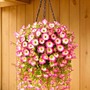 造花植物2個セット - 屋外ガーデン、家の壁装飾、結婚式の装飾用のフェイクペチュニアまたはモーニンググローリーガーランド