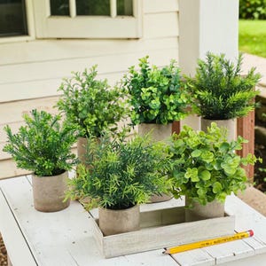 Pequeñas plantas artificiales en maceta: vegetación realista para interiores con macetas biodegradables