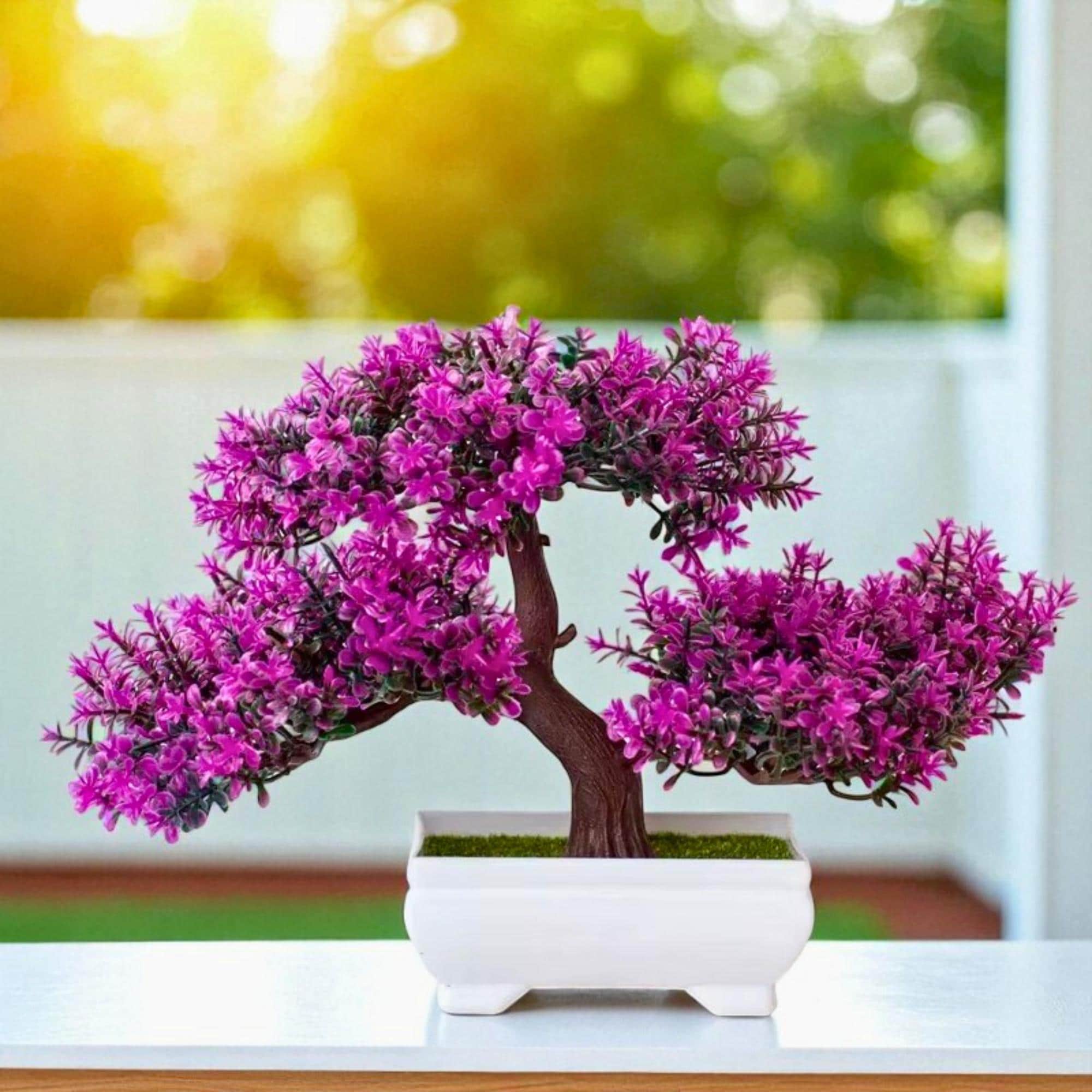 Bonsai Stand - Etsy