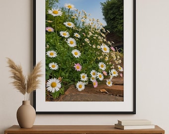 White Daisies in Soft Sunlight – Minimalist Floral Wall Art, Botanical Nature Photography Print