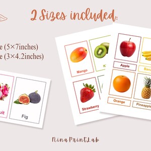 K&ouml;nnte beinhalten: Lernkarten mit Fr&uuml;chten wie Mango, Kiwi, Apfel, Banane, Drachenfrucht, Feige, Erdbeere, Orange und Ananas. Zwei Gr&ouml;&szlig;en sind enthalten: 12,7x17,8 cm und 7,6x10,7 cm. Der Text "2 Sizes included" steht oben.