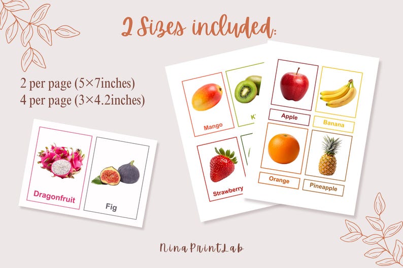 K&ouml;nnte beinhalten: Lernkarten mit Fr&uuml;chten wie Mango, Kiwi, Apfel, Banane, Drachenfrucht, Feige, Erdbeere, Orange und Ananas. Zwei Gr&ouml;&szlig;en sind enthalten: 12,7x17,8 cm und 7,6x10,7 cm. Der Text "2 Sizes included" steht oben.