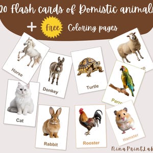 20 afdrukbare flashcards over huisdieren + GRATIS kleurboek | Montessori-educatieve kaarten voor peuters – kleuters – direct downloaden