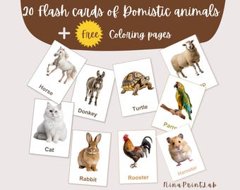 20 Printable Domestic Animals Flashcards + FREE Coloring Book | Montessori Educational Cards for Toddlers – Preschool – Instant Download