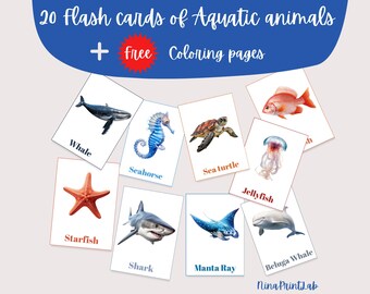 20 Aquatic Animals Flashcards + FREE Coloring Book | Printable Educational Cards for Kids, Montessori Ocean Animals – Instant Download
