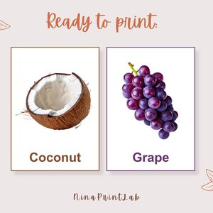 K&ouml;nnte beinhalten: Zwei rechteckige Drucke mit Bildern einer Kokosnuss und einer Traube. Die Kokosnuss ist braun und wei&szlig;, die Trauben sind lila. Das Wort "Coconut" steht unter dem Kokosnussbild, und "Grape" steht unter den Trauben. Der Text oben lautet "Ready to print."